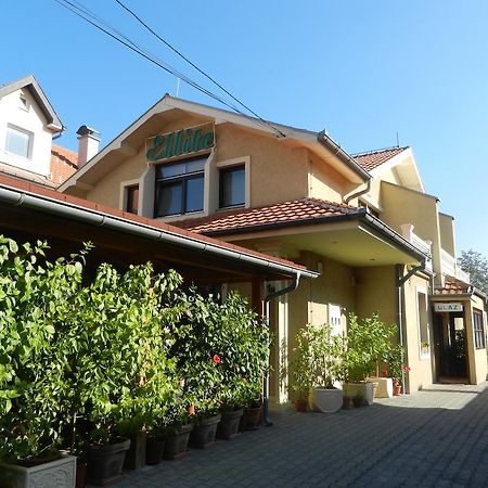 Guesthouse Ellite Požarevac المظهر الخارجي الصورة
